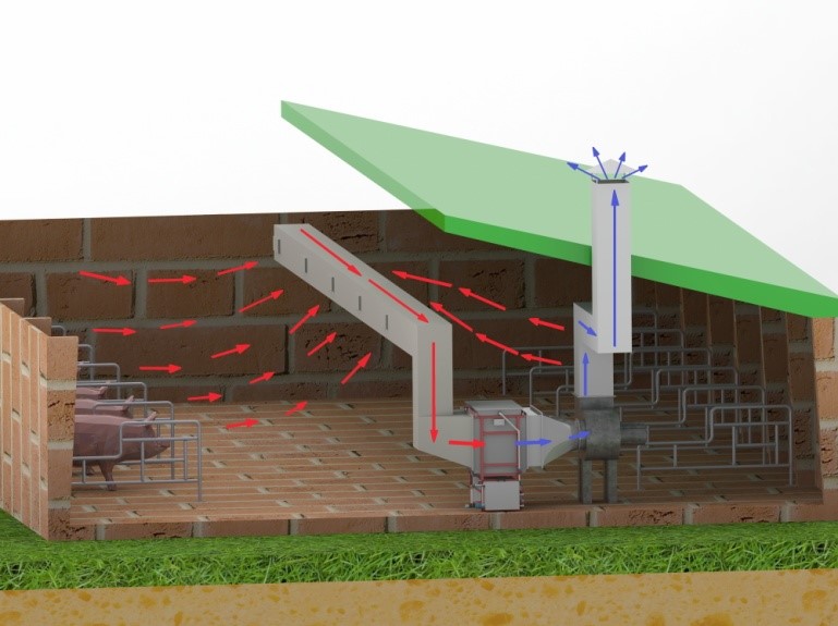 Вентиляция в свинарнике. Вытяжная система для свинарника. Система вентиляции свинарников. Приточно-вытяжная вентиляция в свинарнике. Вытяжка в коровнике.
